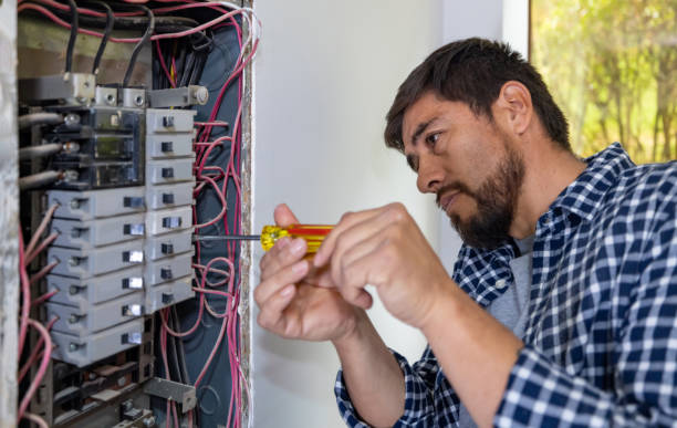 Professional Electrician in Lily Lake, IL